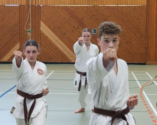 Karate Anfängerkurs für Jugendliche und Erwachsene