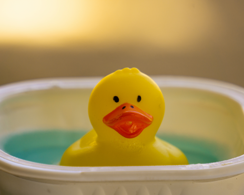 Wassergewöhnungskurs der Schwimmabteilung 