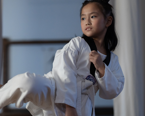 TSG Karate